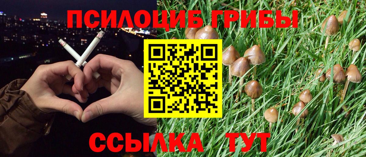 Псилоцибиновые грибы ЛСД Кострома